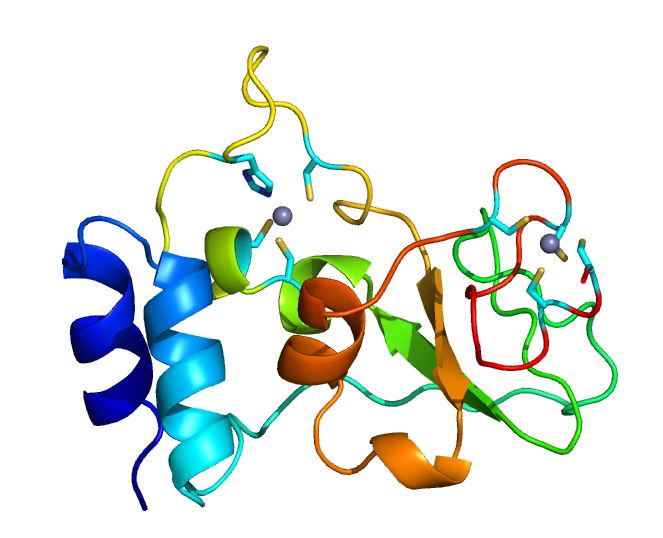 Ribbon diagram of SARS CoV-2 Nsp10 