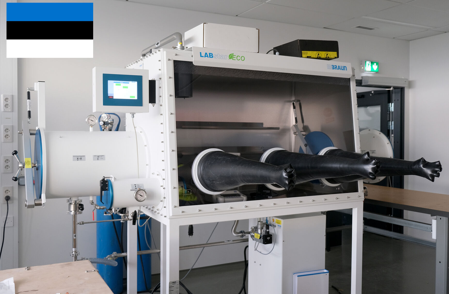Estonian glovebox
