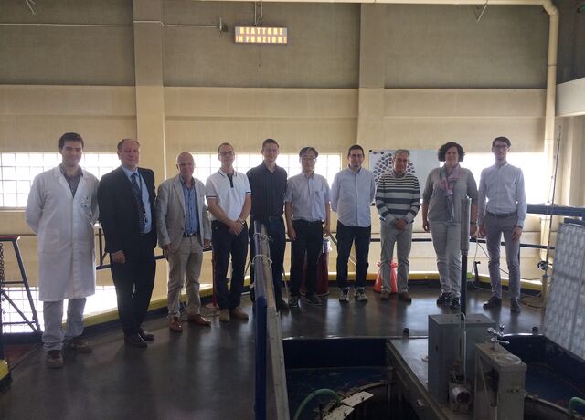 Target grease study group at LENA reactor