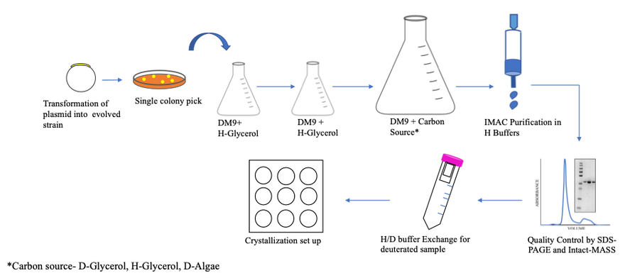 Schematic representation Swati