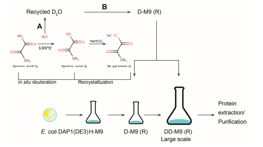 sodium pyruvate