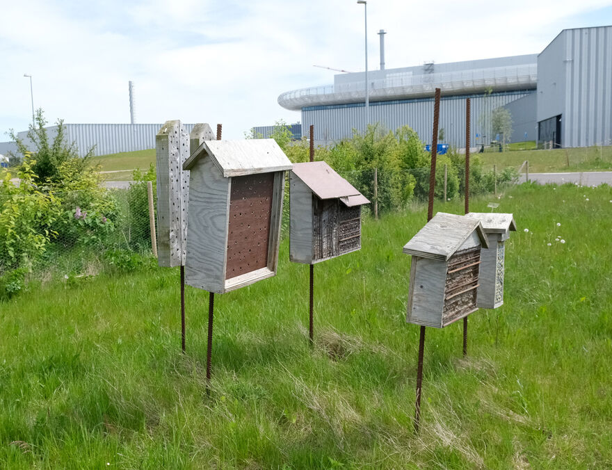 Insect hotels