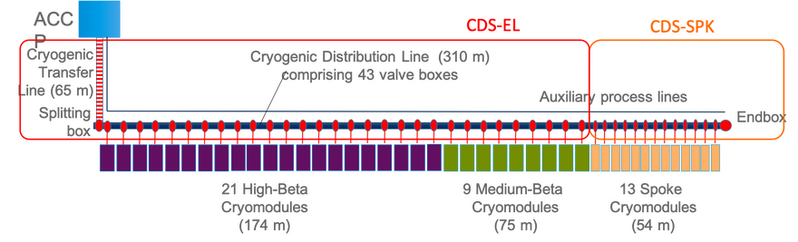 CDS layout