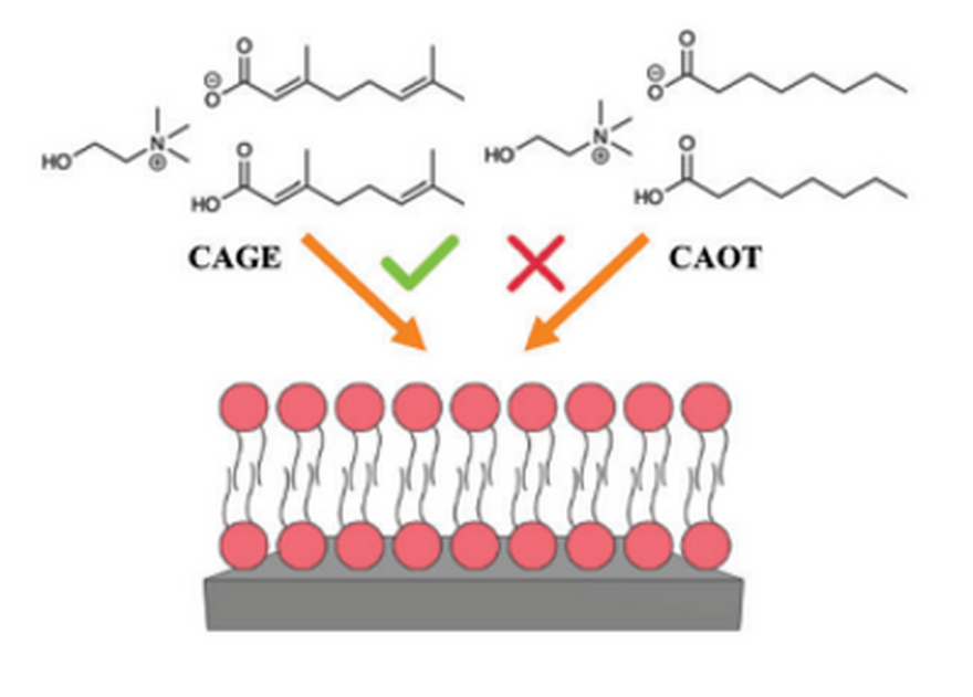 CAGE science image