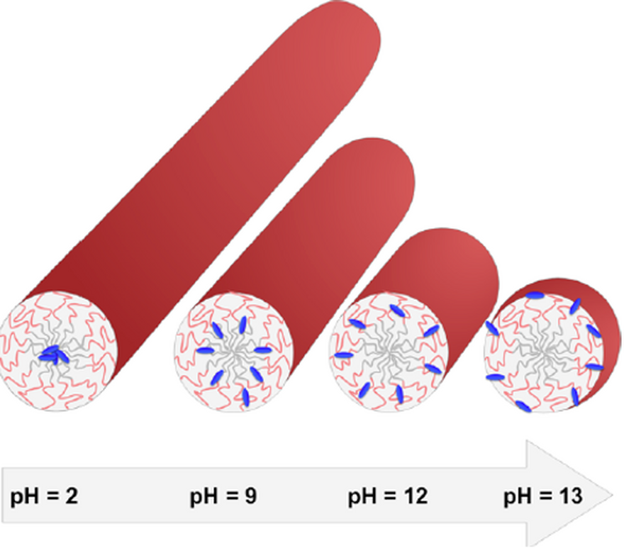 Micelles