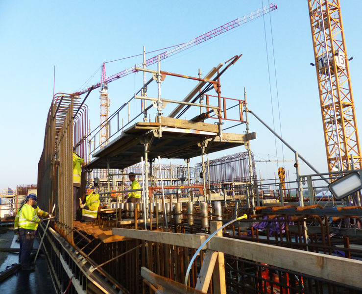 D02 Active cell wall workers