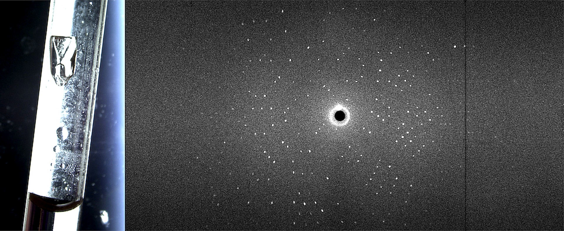 protein crystal and diffraction pattern