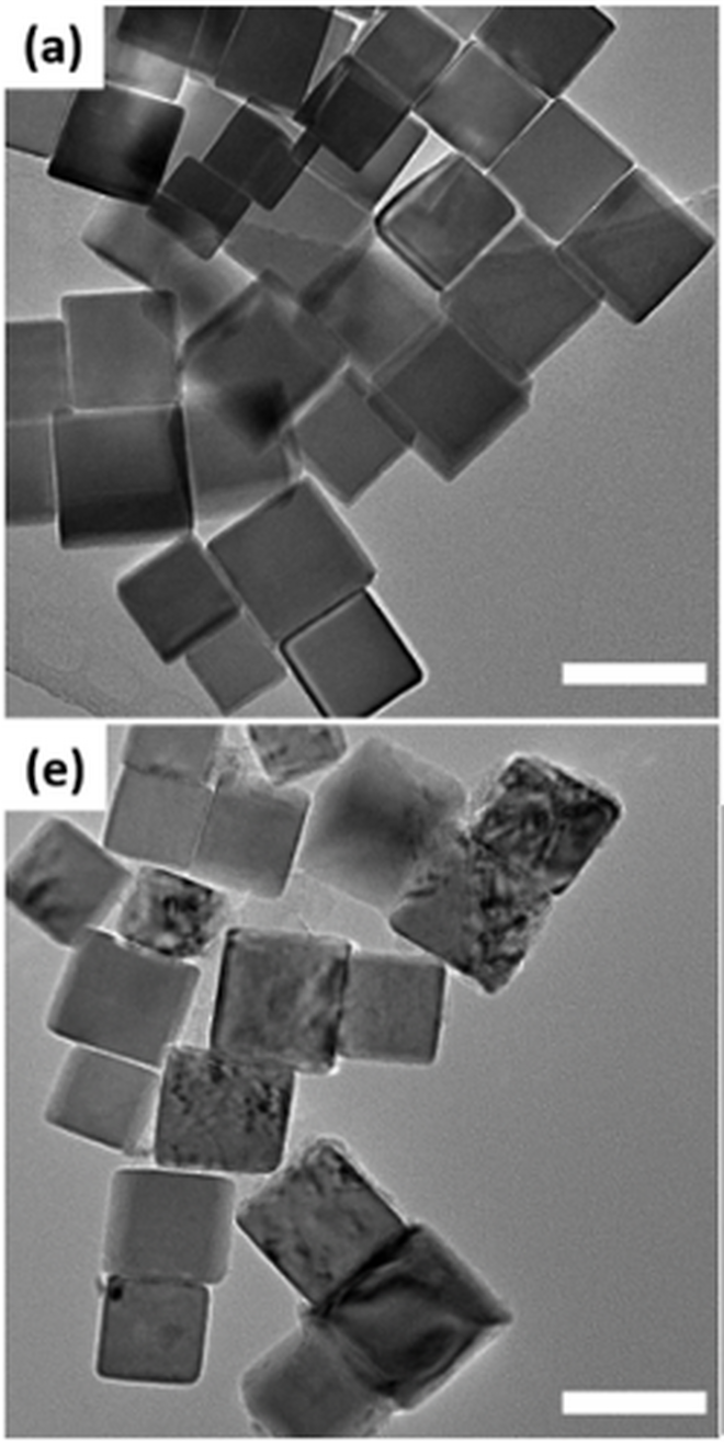 Electron micrograph image