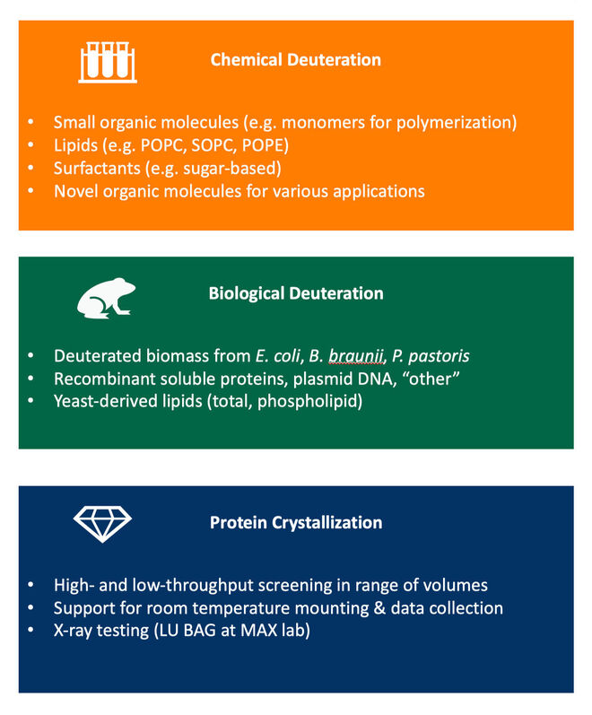 Types of deuteration